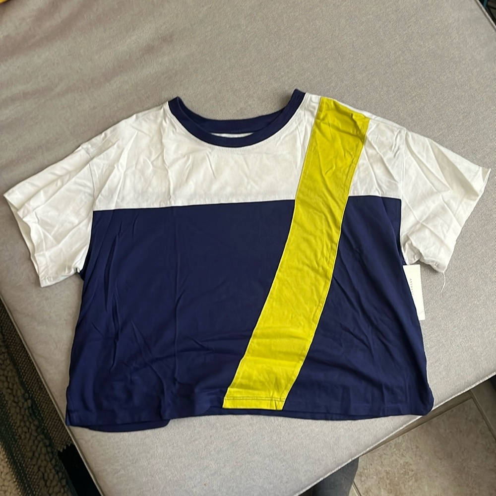 NWT Anthropologie Colorblock Cropped Tshirt
